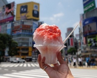 渋谷109メンズ館に「渋谷ハチ氷」が期間限定オープン