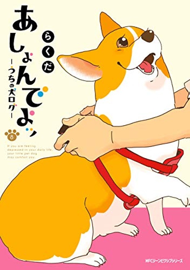『あしょんでよッ ～うちの犬ログ～8』