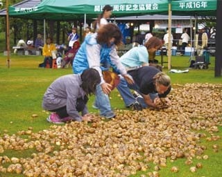 7/20スタート！　じゃがいも拾いバトルに、ブルーインパルス飛行、花火大会も…北海道夏イベントまとめ