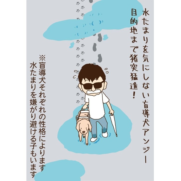 「猪突猛進」