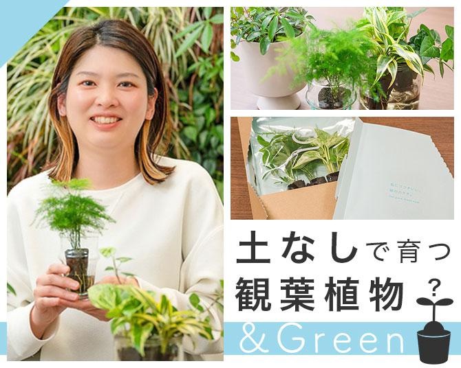 土を使わず水だけで育つ新しい観葉植物。グリーンのある生活を気軽に部屋で楽しもう！