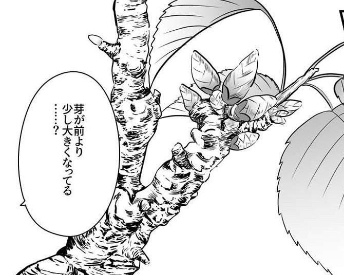 【漫画】旧友が預けた「桜の盆栽」、託した真相に涙…。鬱屈した日々が盆栽で変わる「さくらの咲くころ」が胸に響く