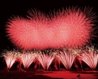 東京ウォーカー編集長と花火特集担当が教える2017年「絶対に外さない花火大会」