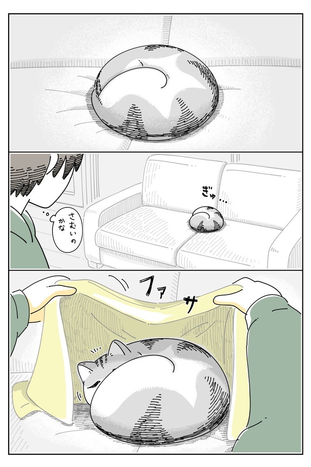 ネコ漫画】うずくまる猫に布団をかけると何故か嫌がられる!?自ら布団に潜る猫の姿に「分かります」と共感の声続出!!｜ウォーカープラス