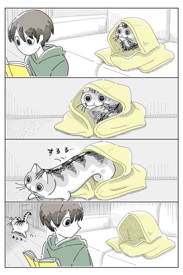 ネコ漫画】うずくまる猫に布団をかけると何故か嫌がられる!?自ら布団に潜る猫の姿に「分かります」と共感の声続出!!｜ウォーカープラス