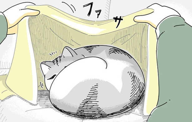 ネコ漫画】うずくまる猫に布団をかけると何故か嫌がられる!?自ら布団に