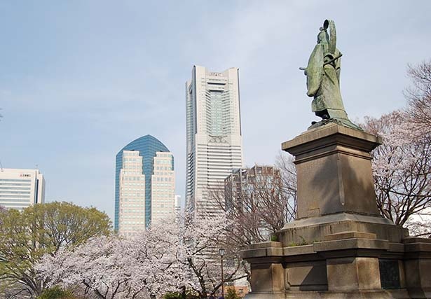 井伊直弼像がある広場を取り囲むように咲く桜