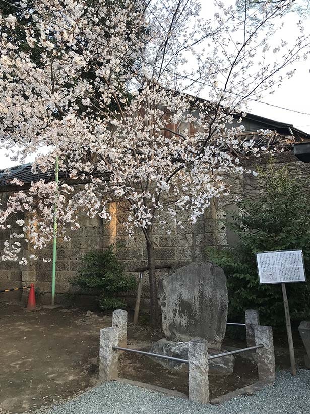 歌碑には元杢網が桜について詠んだ歌が刻まれている