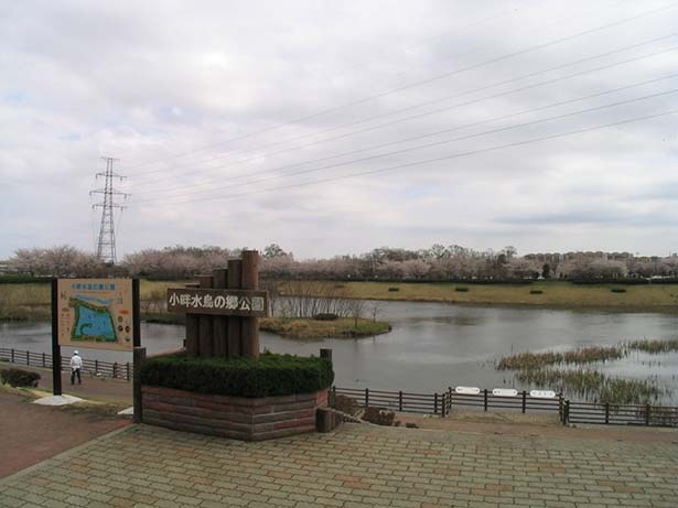 雨水調節池の周囲を散策路として整備した公園