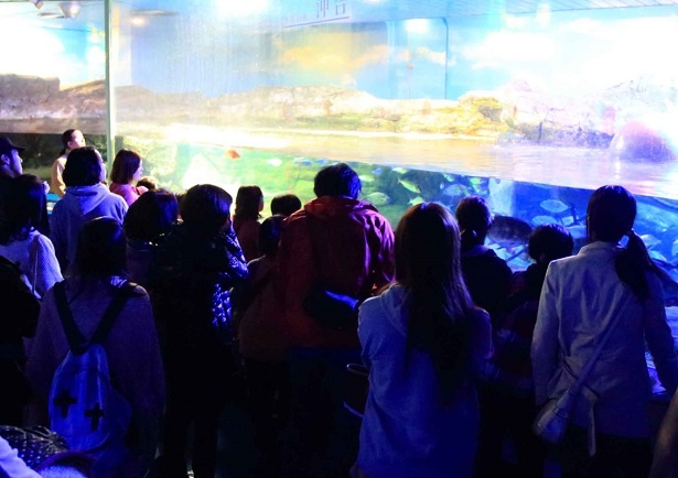 鴨川シーワールドは、 夜の水族館探検「ナイトアドベンチャー」を、7月24日(月)から8月25日(金)の期間限定で開催