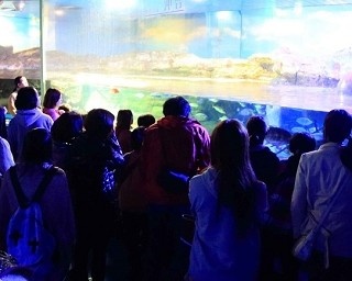 鴨川シーワールドの期間限定”夜の水族館探検”、7月1日に予約開始！