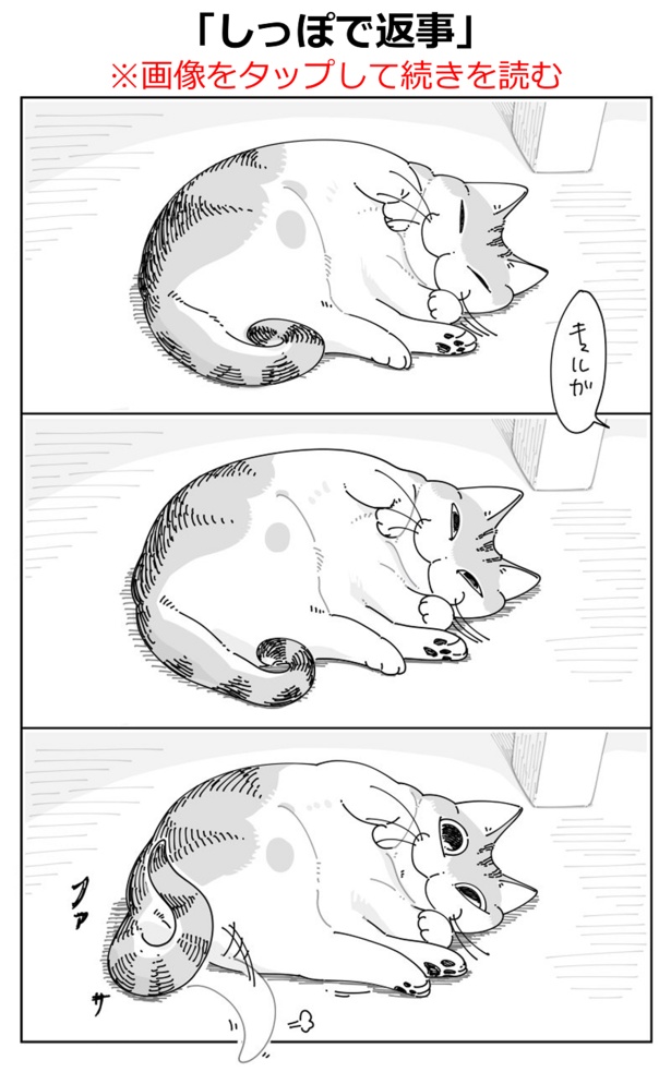 猫漫画】「物を落としたいネコ」／キュルZ｜ウォーカープラス