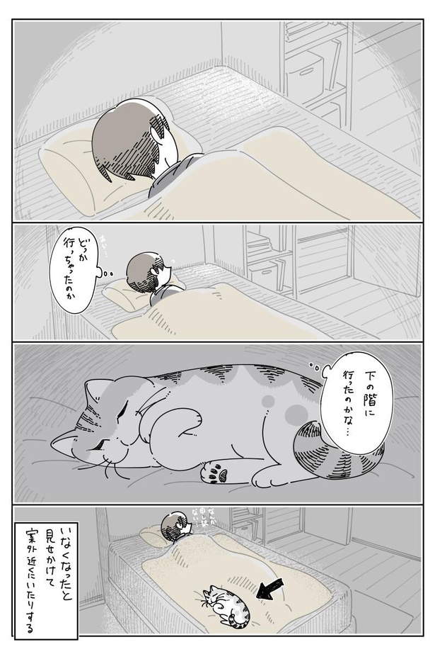 画像40 / 304＞【猫漫画】めっちゃ毛が抜けるッ！「抜け毛の時期のネコ」／キュルZ｜ウォーカープラス