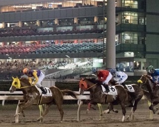 レースと一緒に楽しもう！大井競馬場と船橋競馬場でバーベキューガーデン開催