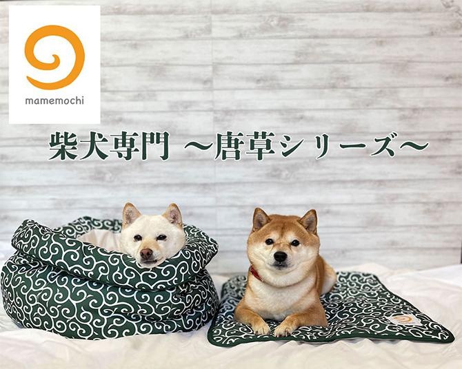 柴犬のためのグッズを展開する新ブランド「mamemochi」から、唐草模様のラウンドベッドとブランケットが発売決定