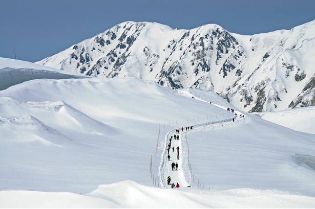 【写真】期間限定！雪上の遊歩道「パノラマロード」を開放