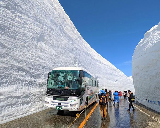 大迫力の雪の壁！立山黒部アルペンルートで「立山黒部・雪の大谷フェスティバル」開催