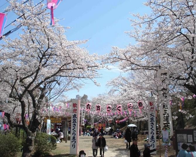 桜シーズンスタート！今週末(3月18日・19日)に開花を迎えそうな全国のお花見名所ガイド