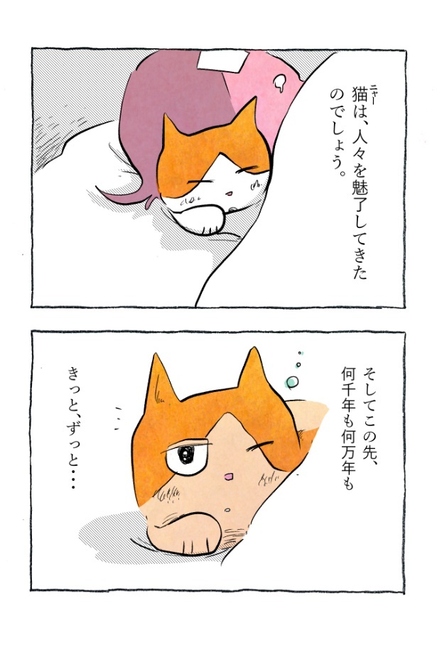 kotatsu099_16