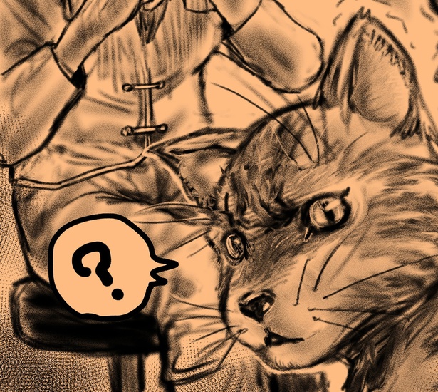 「猫の診察で泣きそうになった話」より