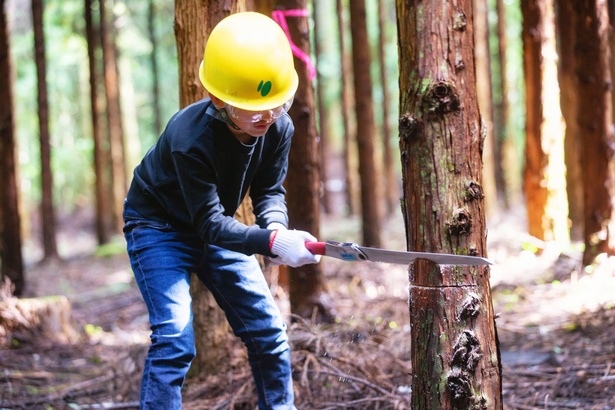  「くじゅう九電の森」で行う間伐体験。小学4年生から6年生までが対象だ