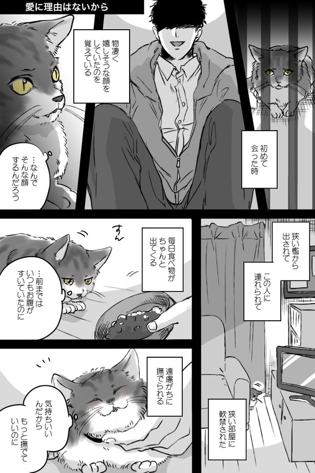 愛に理由はないから(1)