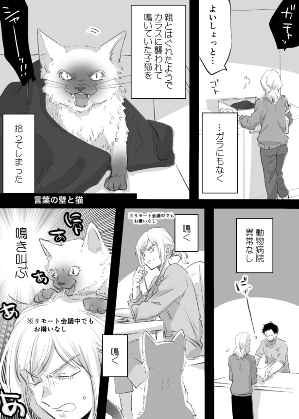 言葉の壁と猫(1)