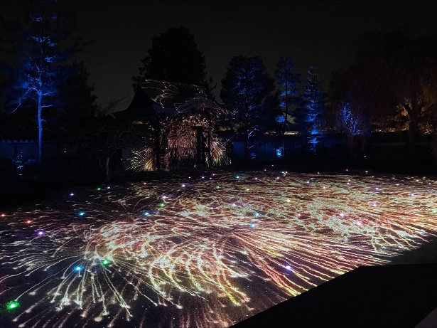 京都・高台寺で「春の夜間特別拝観」が開催中！秀吉とねねの物語を光と