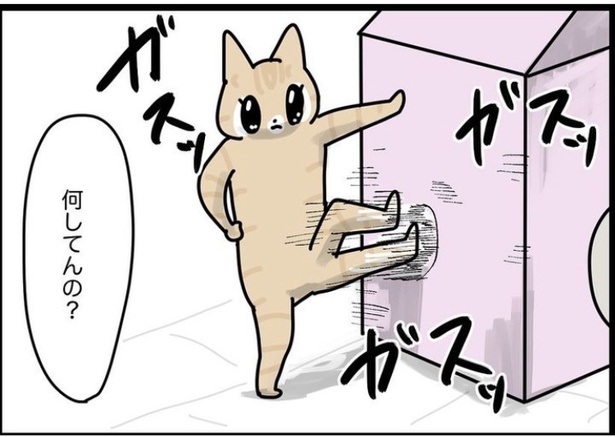 「ただただ増える猫ハウス」1