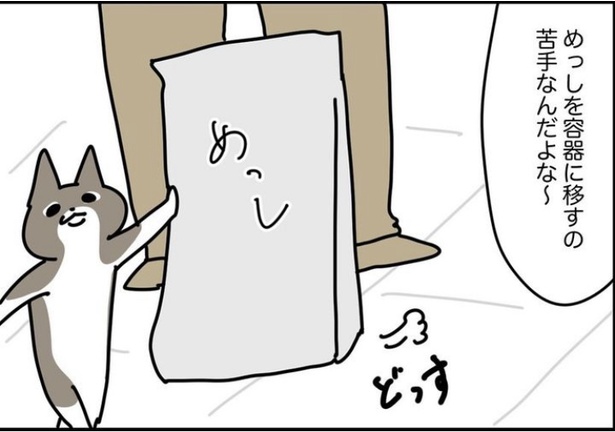 「容器を入れ替える時大体やらかす」2