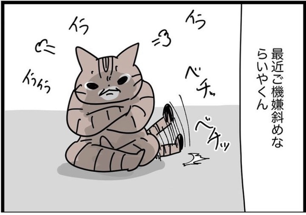 画像116 / 124＞保護猫10匹との暮らしを漫画に。かわいくて面白い