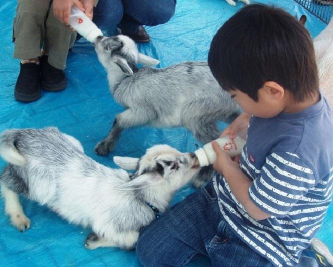 GWのおでかけにぴったりな穴場スポットを紹介！住宅展示場で楽しく遊ぼう【埼玉県北部・西部・群馬】