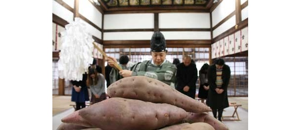 尾山神社(石川県金沢市)の神主さんに合格祈願の祈祷をしてもらったサツマイモで作られた大学イモが登場。皆さん、本気で祈ってます！