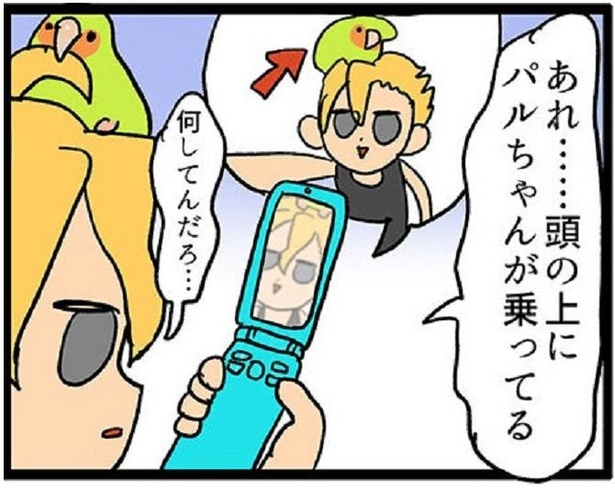 時間をかけてセットしたコスプレのウィッグにペットのインコが乗ってきて…!?
