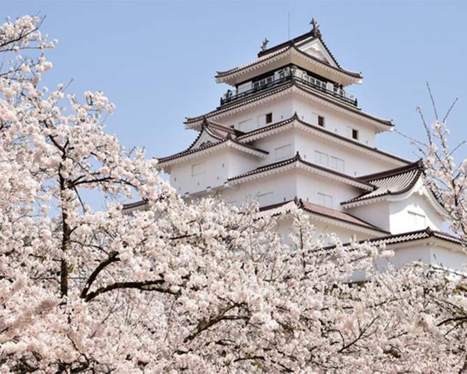 今週末(4月8・9日)の桜見頃はここ！まだ間に合う全国の見頃のお花見名所ガイド