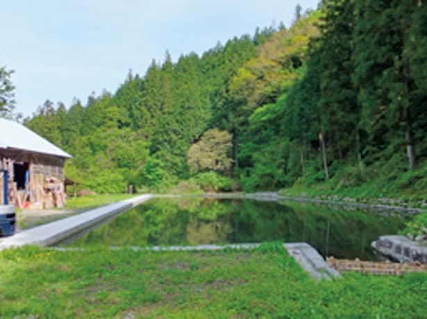 冬の厳しい寒さを生かし、氷池で約2週間かけて氷を作る/マールブランシュ ジェイアール京都伊勢丹店