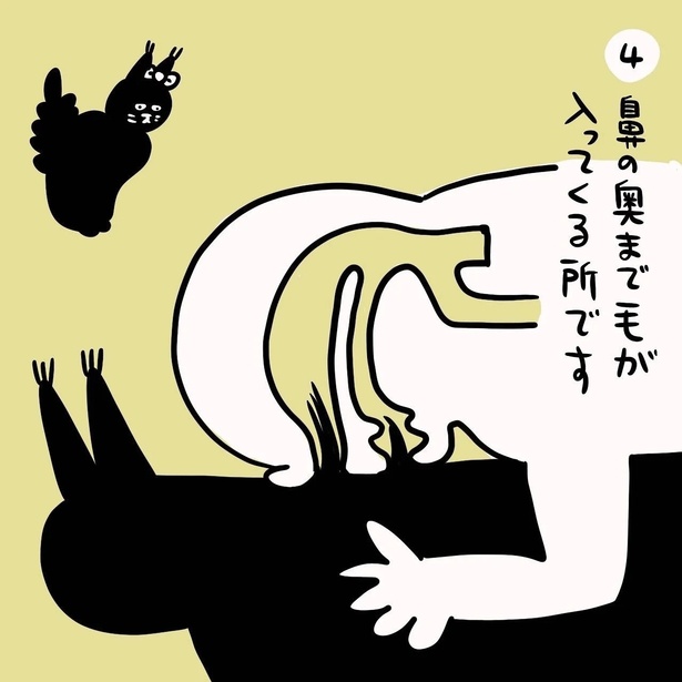 「鼻毛」4