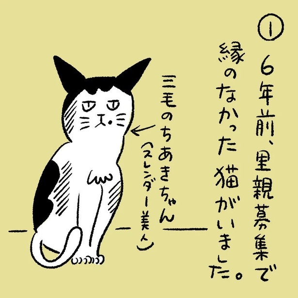 猫は一生に一度だけ人間の言葉を話す!?黒猫2匹&おじさんの4コマ漫画に