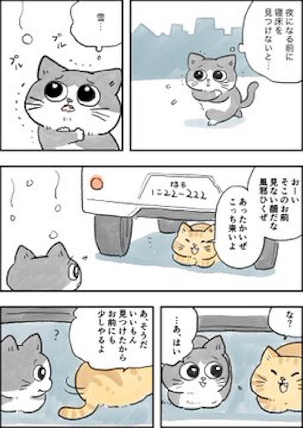 画像8 / 37＞猫しか勝たん！「ねこおじ」がTwitterで大人気!!転生した