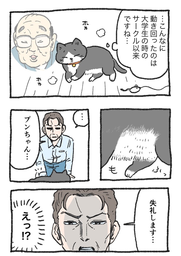 ねこに転生したおじさん　その17