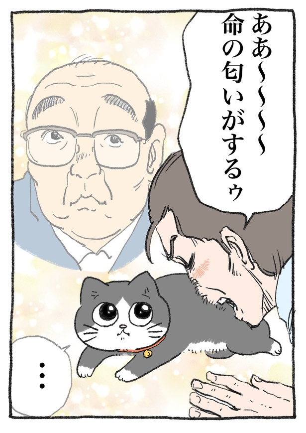 ねこに転生したおじさん　その17-2