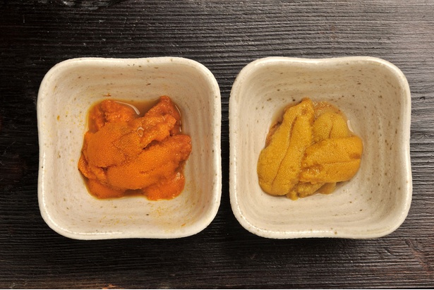 濃厚な風味が特徴のバフンウニ(左)と、淡泊で上品な味わいのムラサキウニ(右)