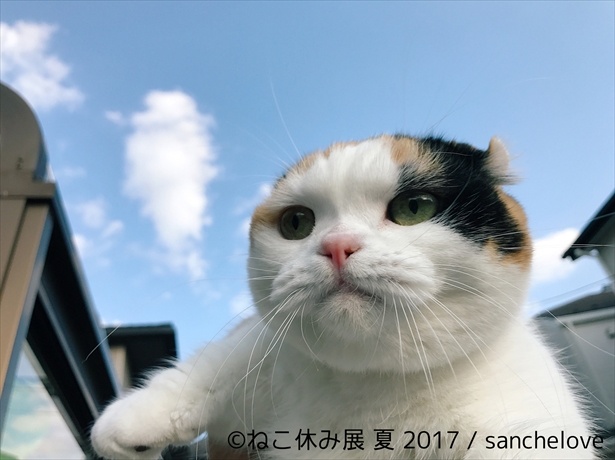 まんまる顔がキュート！