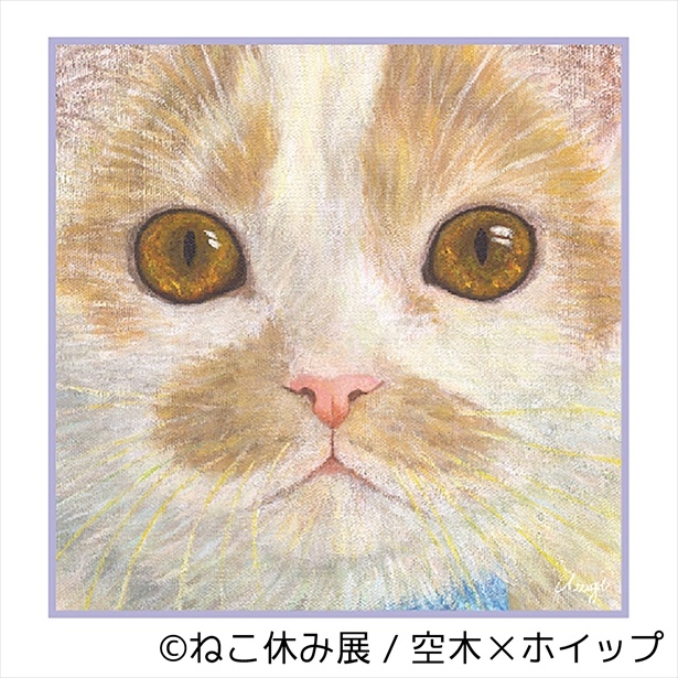 リアルな猫の描写が人気の空木が、スター猫のホイップと初コラボ！