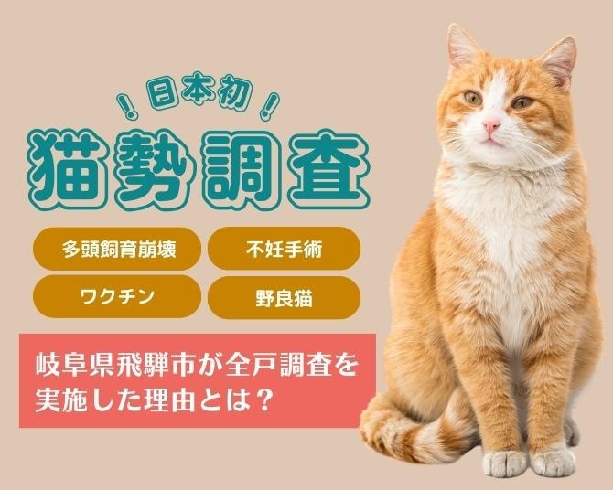 日本初、国勢調査ならぬ猫勢調査！「猫助け事業」が見据える人にもやさしい街づくり