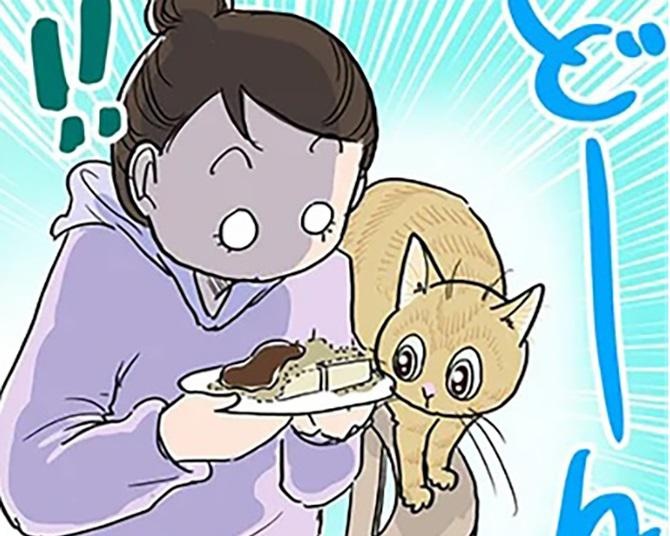 振り向いても猫!?きな粉に興味津々な猫たちから飼い主はわらび餅を守れるのか!?【作者に聞いた】