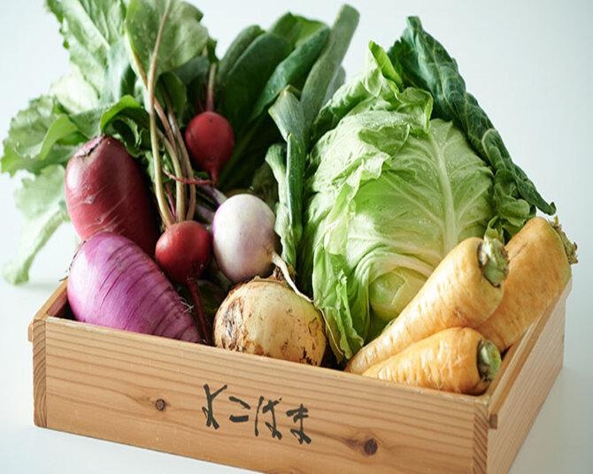 横浜ロイヤルパークホテルで「EAT KANAGAWA」が開催！「野菜セット」を生産者からプレゼント
