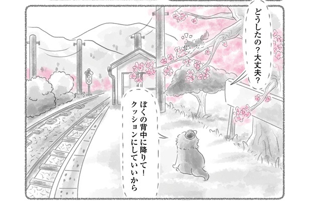 「にゃん旅鉄道～さくらの物語」より