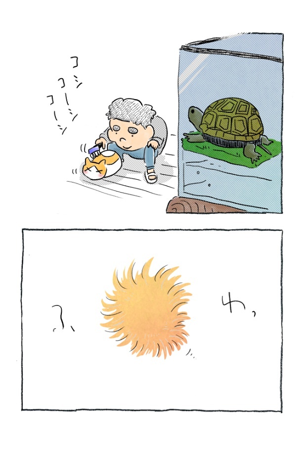 kotatsu100_08