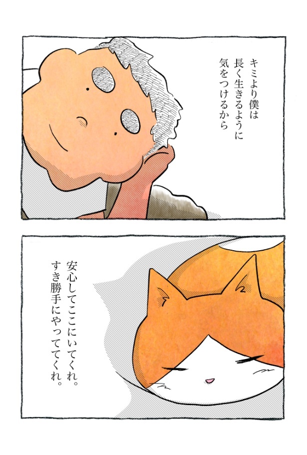 kotatsu100_13